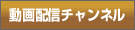 動画配信チャンネル